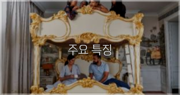 ✨ 주요 특징