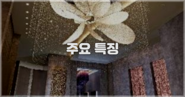 ✨ 주요 특징