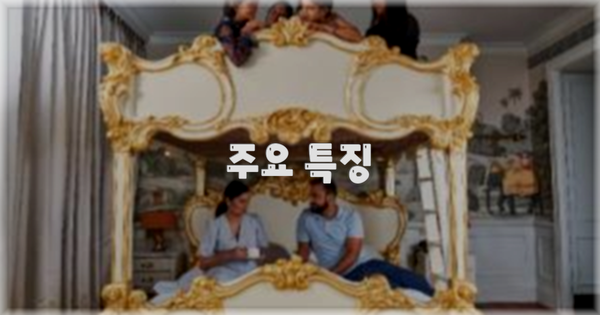 ✨ 주요 특징