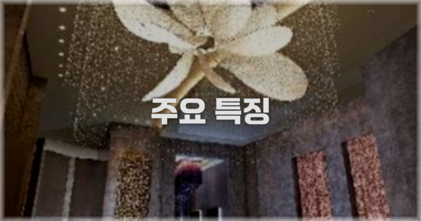 ✨ 주요 특징