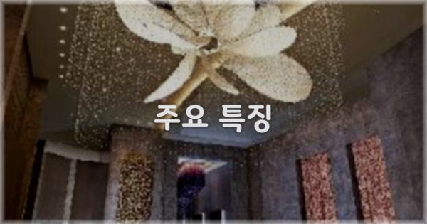 ✨ 주요 특징