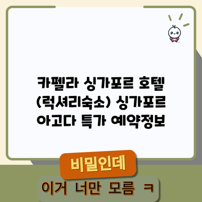 카펠라 싱가포르 호텔 (럭셔리숙소) 싱가포르 아고다 특가 예약정보