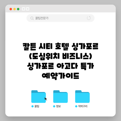 칼튼 시티 호텔 싱가포르 (도심위치 비즈니스) 싱가포르 아고다 특가 예약가이드