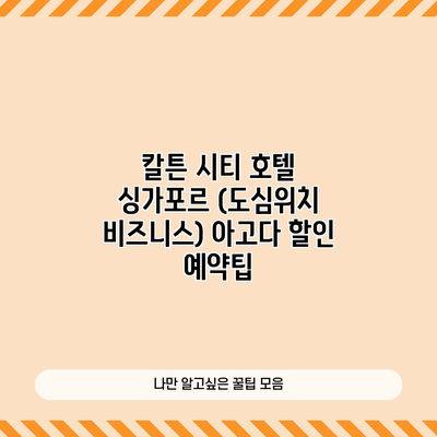 칼튼 시티 호텔 싱가포르 (도심위치 비즈니스) 아고다 할인 예약팁
