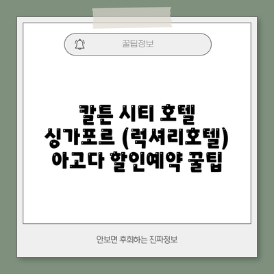 칼튼 시티 호텔 싱가포르 (럭셔리호텔) 아고다 할인예약 꿀팁
