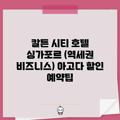 칼튼 시티 호텔 싱가포르 (역세권 비즈니스) 아고다 할인 예약팁