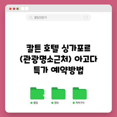 칼튼 호텔 싱가포르 (관광명소근처) 아고다 특가 예약방법