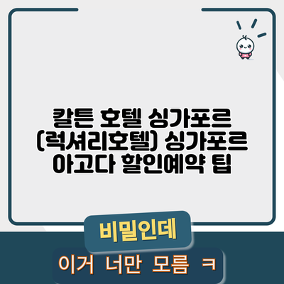 칼튼 호텔 싱가포르 (럭셔리호텔) 싱가포르 아고다 할인예약 팁