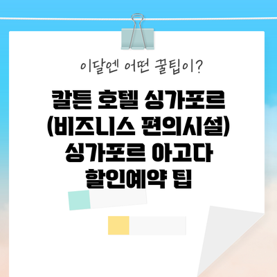 칼튼 호텔 싱가포르 (비즈니스 편의시설) 싱가포르 아고다 할인예약 팁
